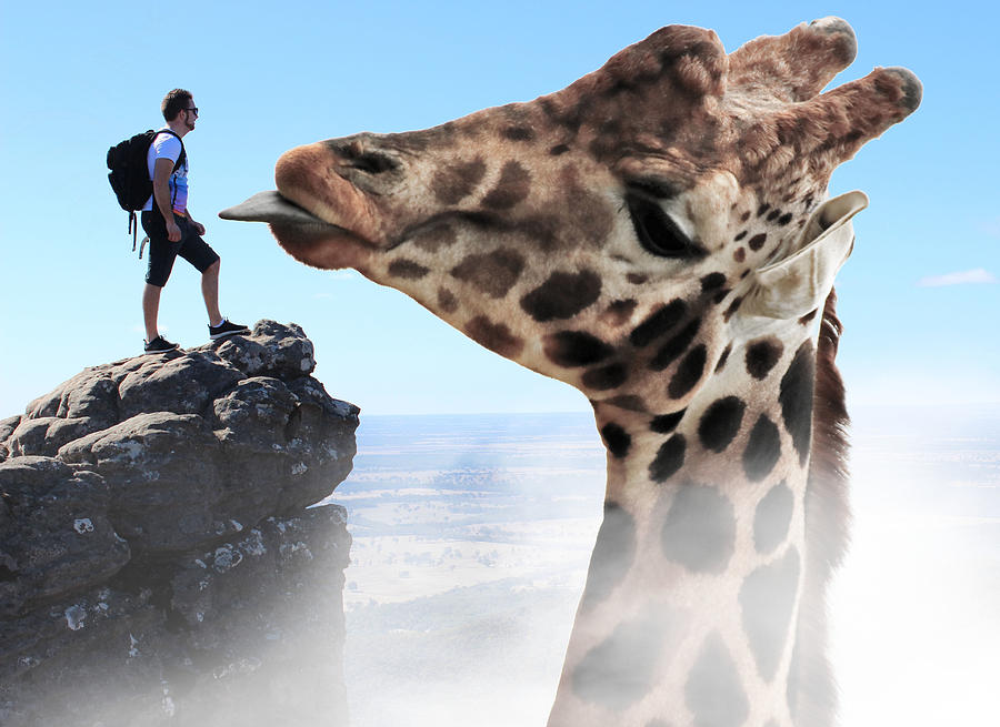 Man Standing On A Cliff And Giraffe Surreal Digital Art