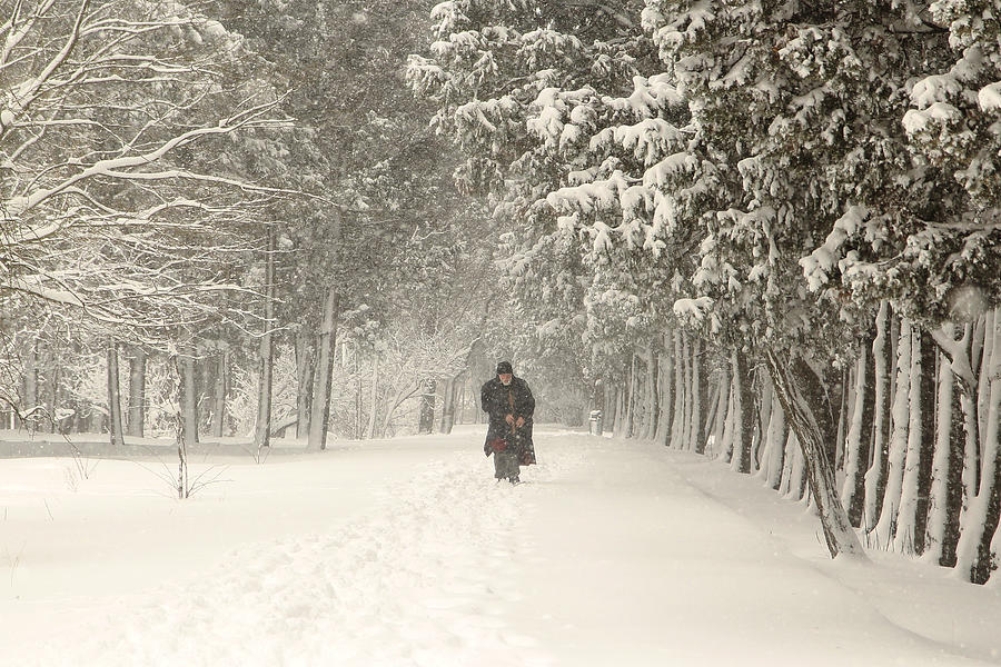 Man Walking In Winter Photograph by Sguler