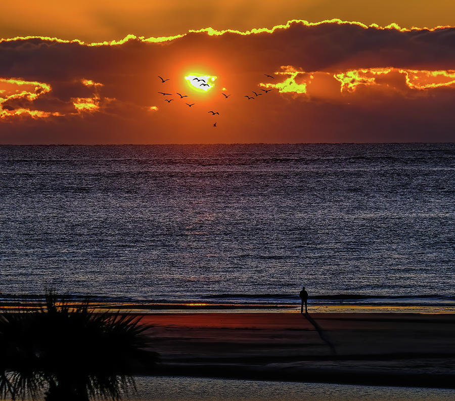 Man Watching Sunrise Photograph by Darryl Brooks