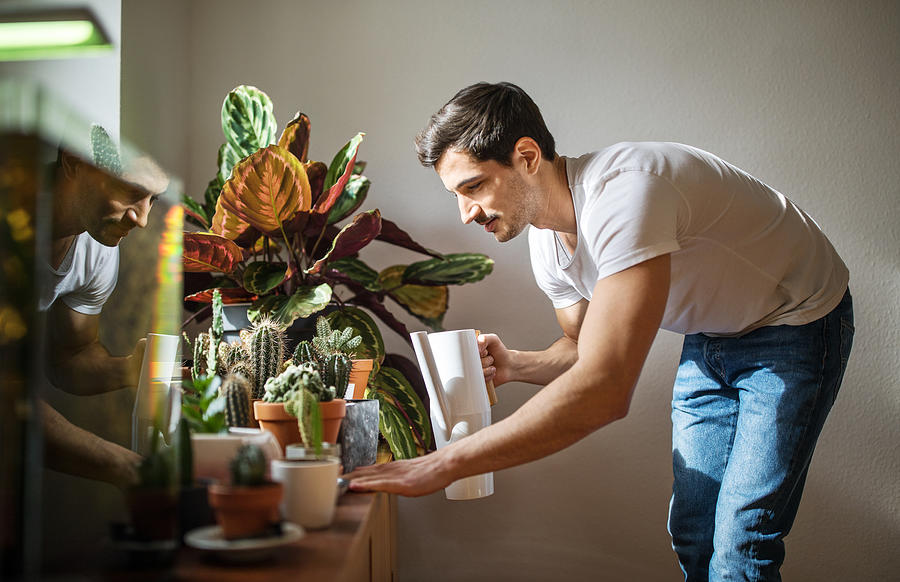 Man watering cacti plants in his living room Photograph by Luis Alvarez