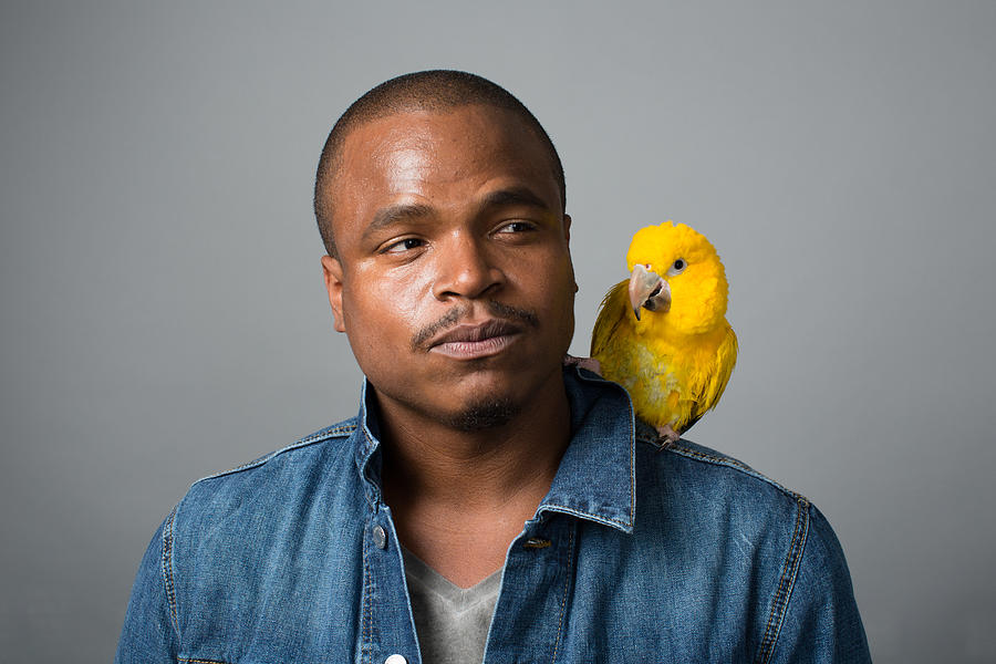 Man with Golden Parakeet on shoulder Photograph by Sean Murphy