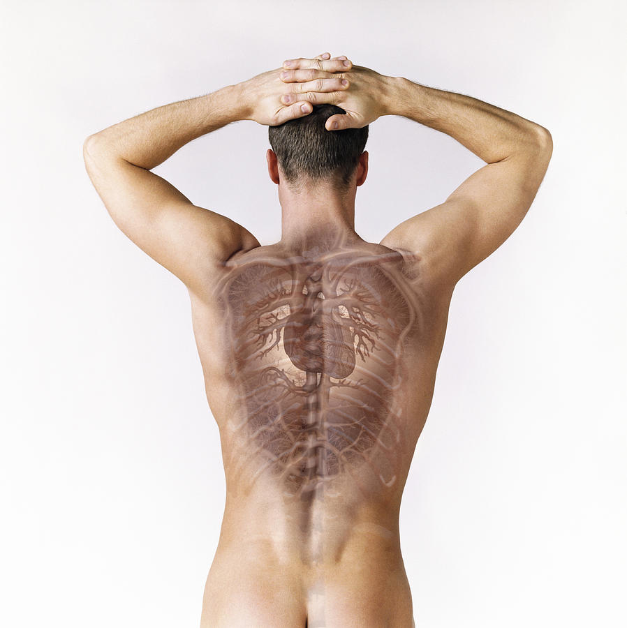 Man with hands on head, internal organs visible (Digital Composite) Photograph by Adam Gault
