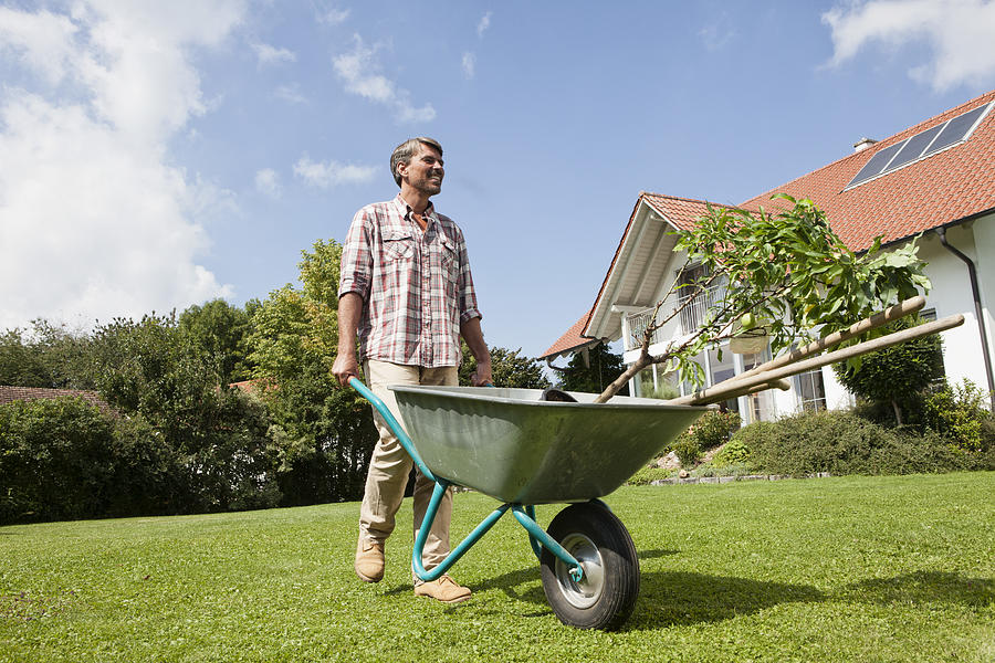 Man with wheelbarrow in garden Photograph by Westend61
