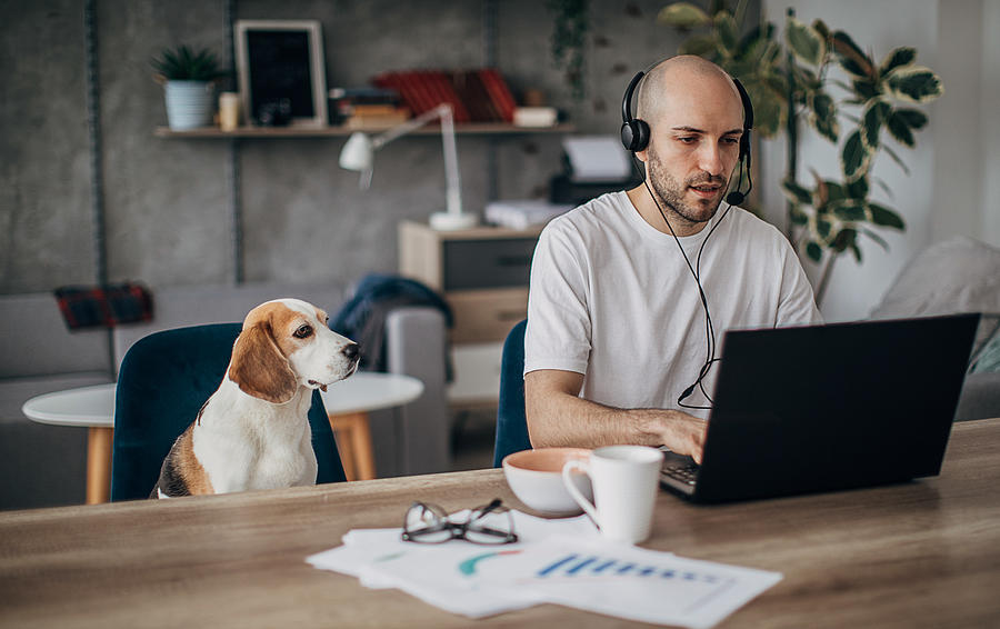 Man working on laptop at home, his pet dog is next to him on chair Photograph by South_agency