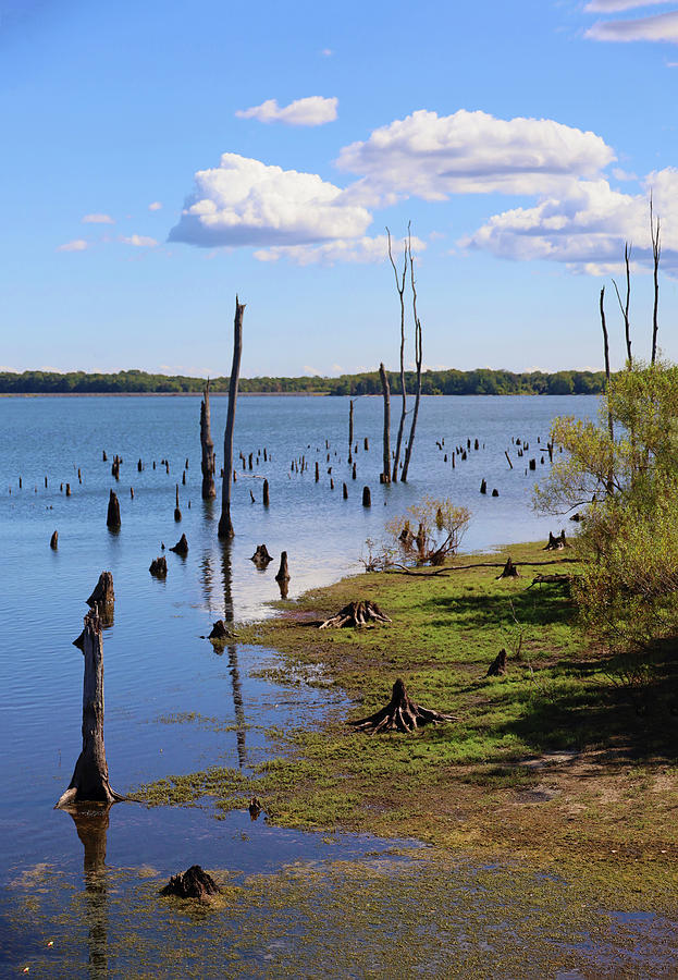 Manasquan Reservoir # 4 Photograph