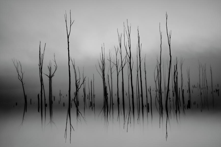 Manasquan Reservoir Foggy Morning BW Photograph by Susan Candelario