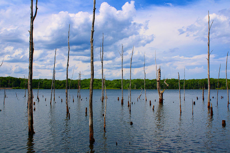 Manasquan Reservoir Photograph by Matthew Marucci - Fine Art America