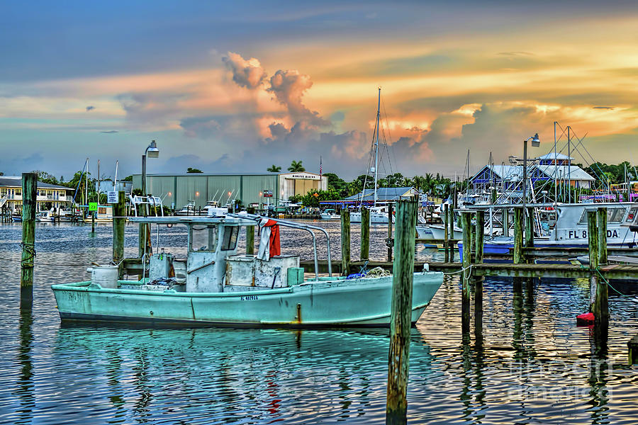 Manatee Pocket Port Salerno Florida Photograph by Olga Hamilton
