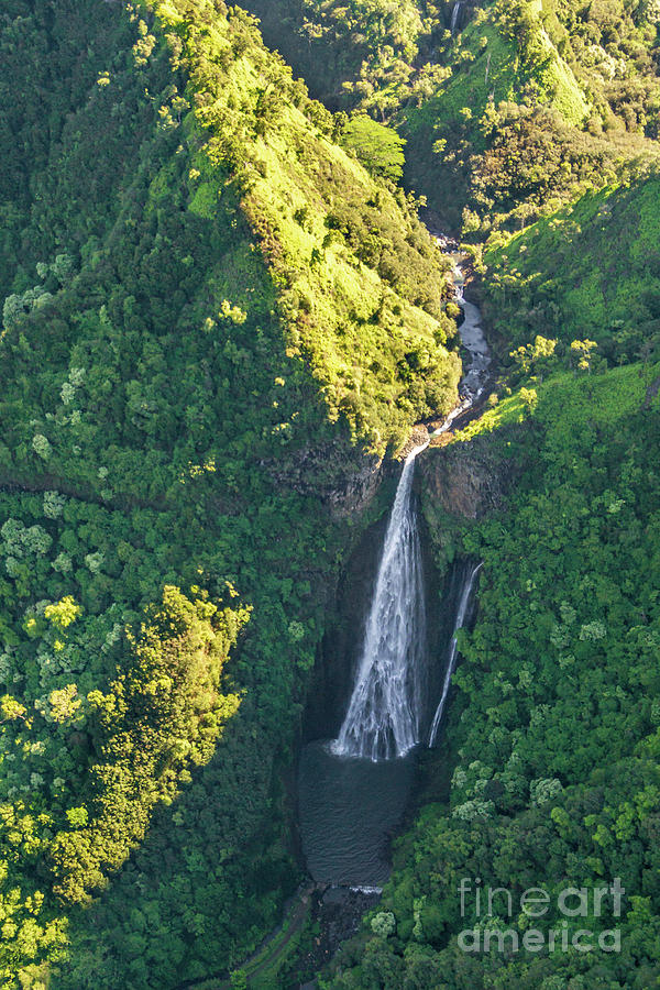 Tree Photograph - Manawaiopuna Falls, also known as Jurassic Falls on Kauai, Hawai by Nancy Gleason