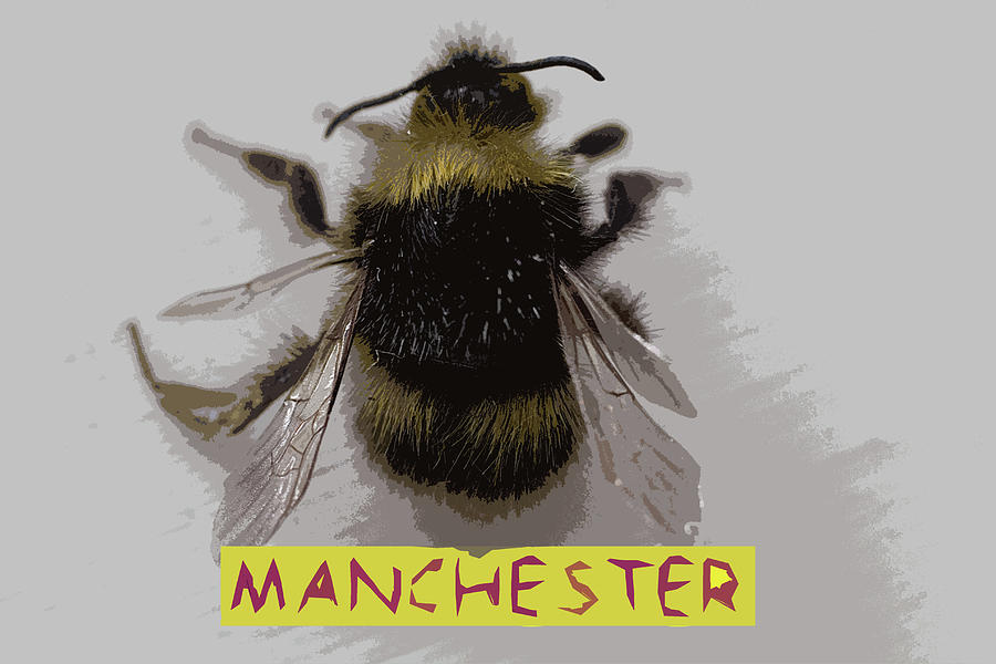 Manchester Bee Digital Art