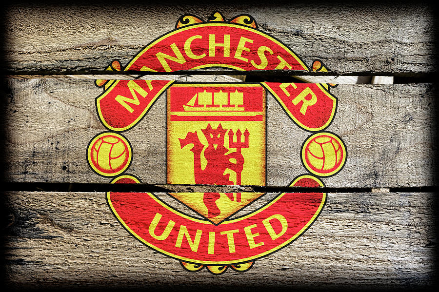 Manchester United Football Red Devil Logo Print On Framed Canvas Wall