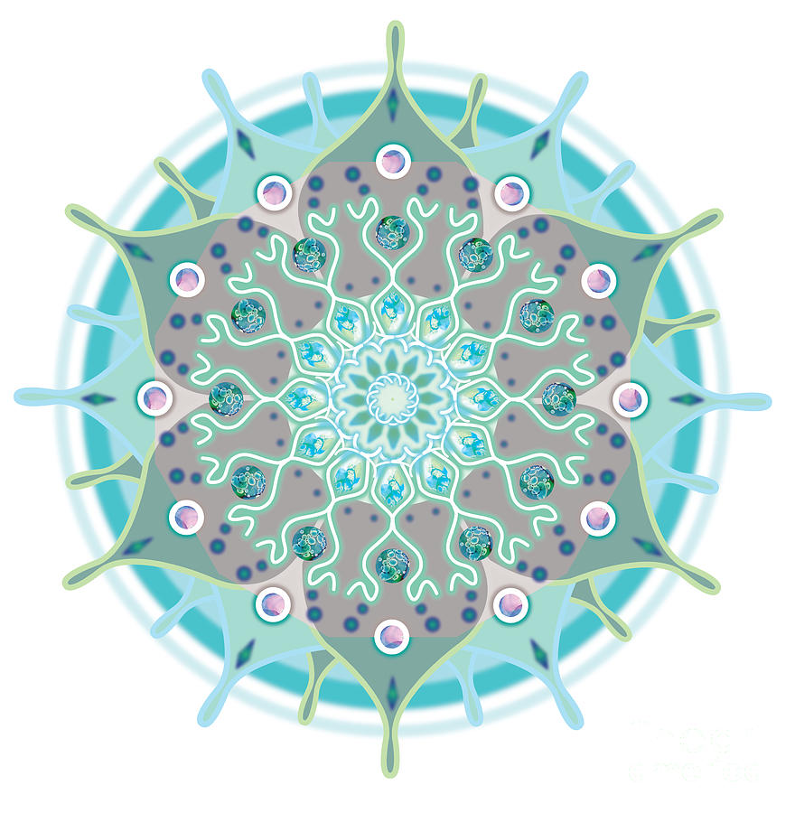 Mandala Aqua Perpetual Digital Art by Shelley Myers