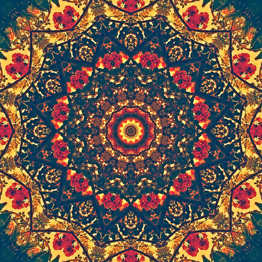 Mandala Art #9 Digital Art by Renzy Star - Fine Art America