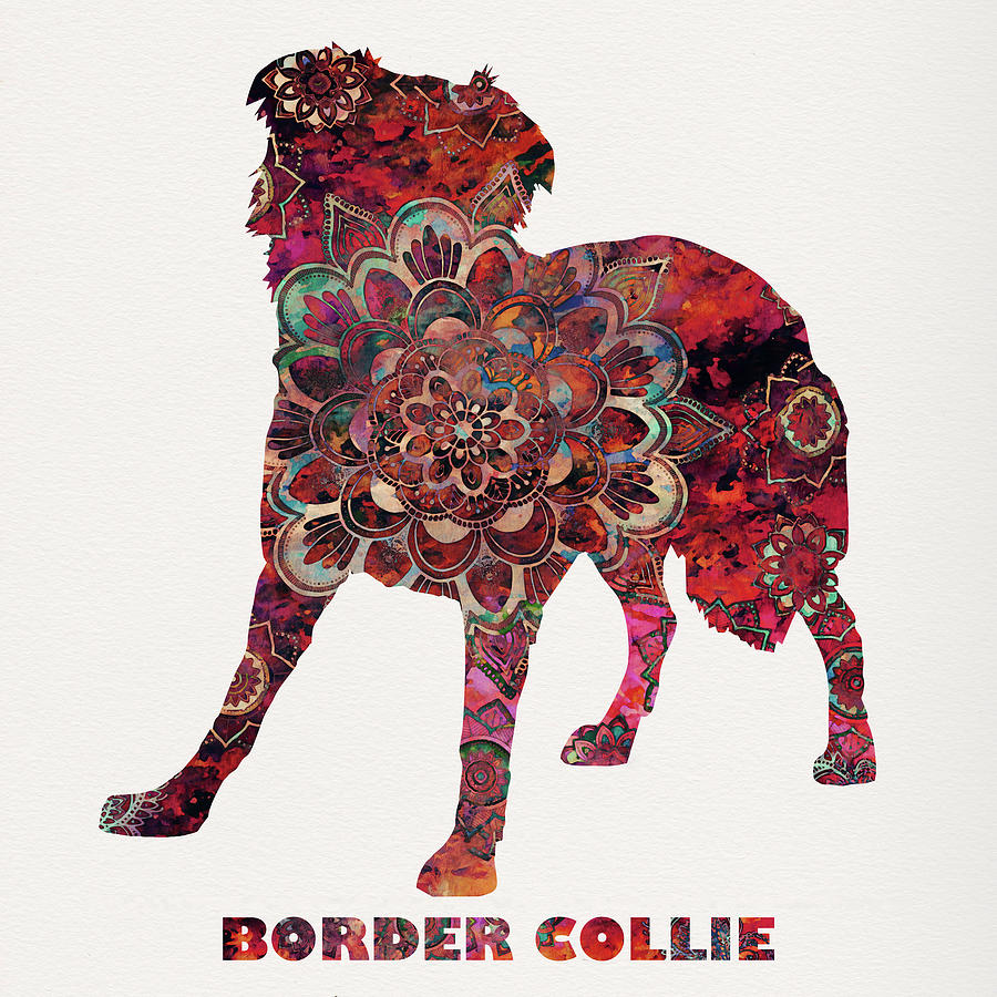 Mandala Border Collie Dog Art Digital Art by Peggy Collins