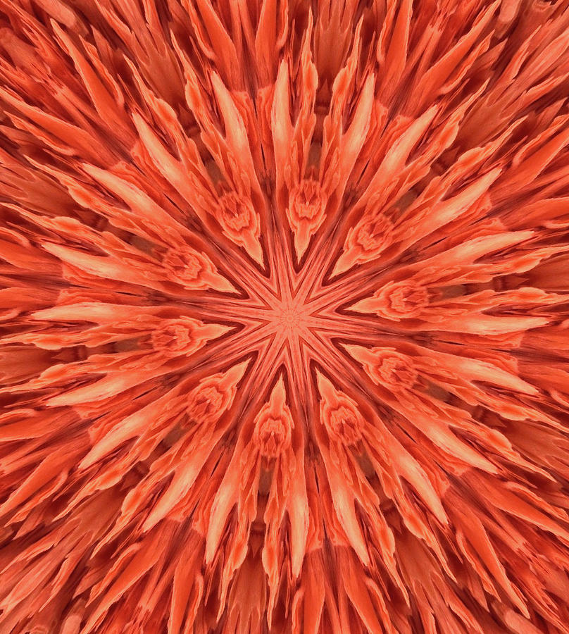 Mandala - orange rug --- bob-mcdonnell.pixels.com Photograph by Bob McDonnell