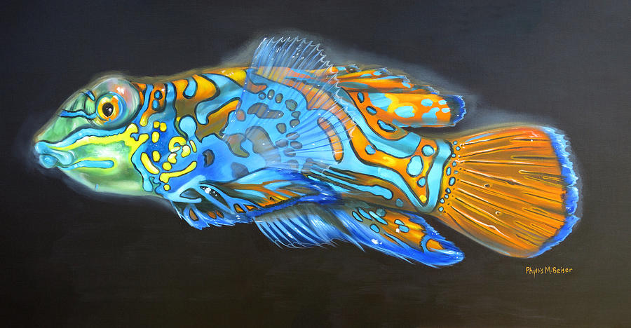 Mandarin Dragonet Painting by Phyllis Beiser - Fine Art America