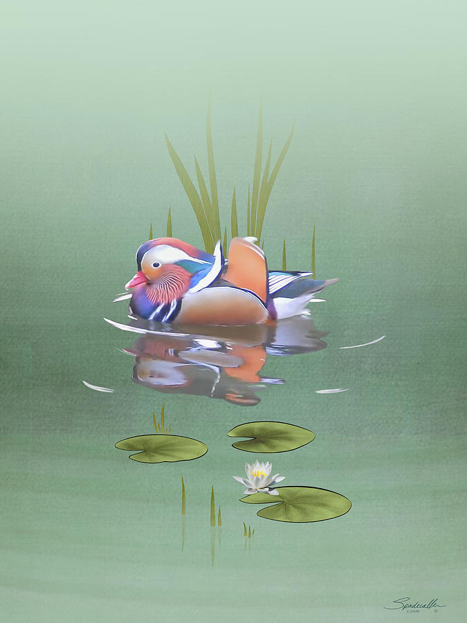 Mandarin Duck and Lotus Flower Digital Art by M Spadecaller