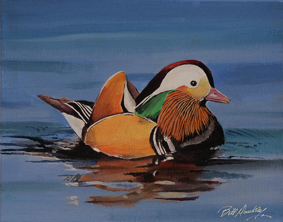 Bird Painting - Mandarin Duck by Bill Dunkley