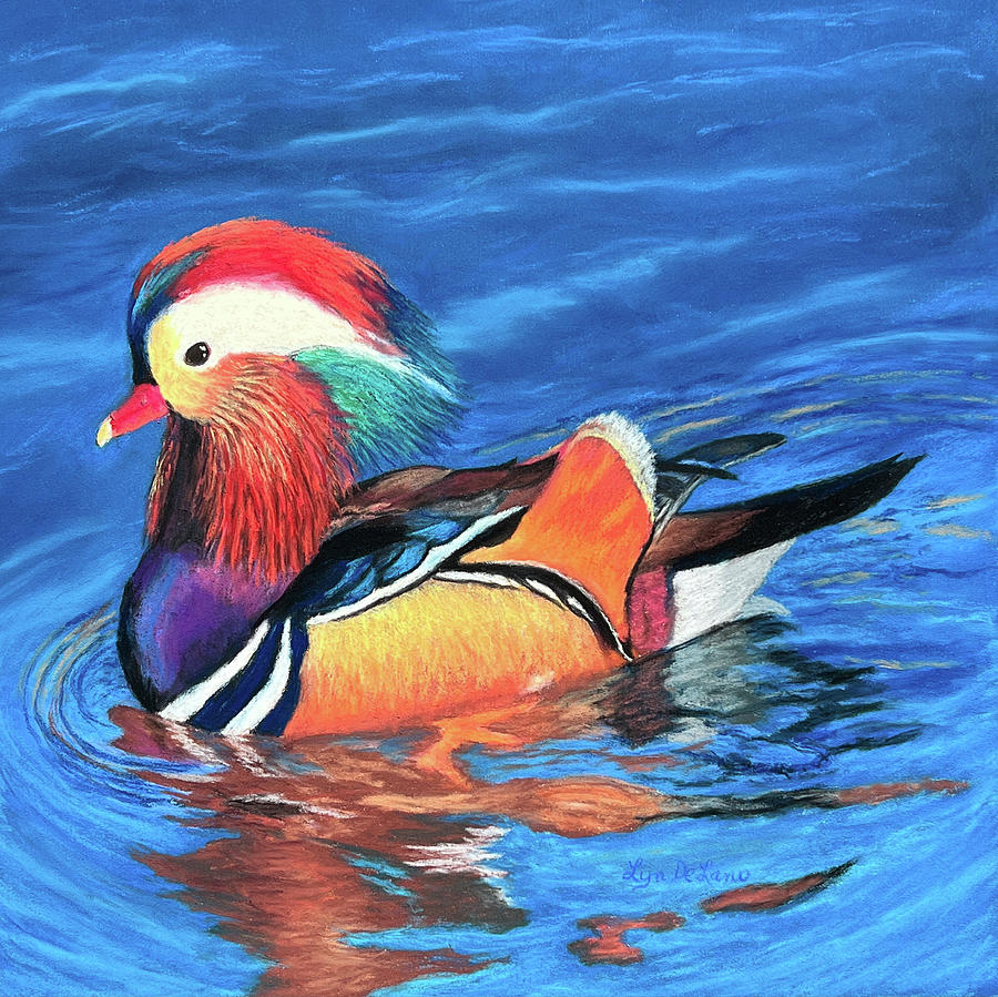 Mandarin Duck Pastel by Lyn DeLano - Fine Art America