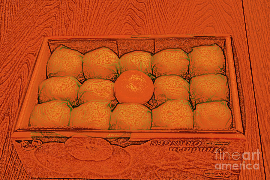 Mandarin Oranges Digital Art by Mary Mikawoz