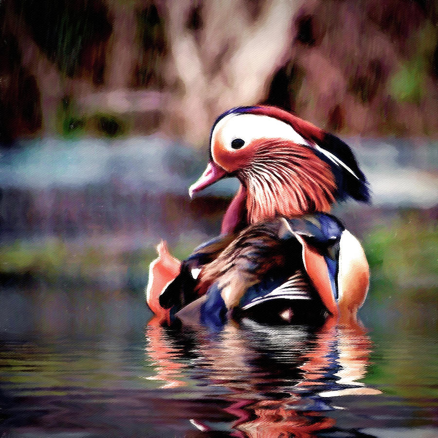 Wildlife Painting - Mandarin Rain by Susan Maxwell Schmidt