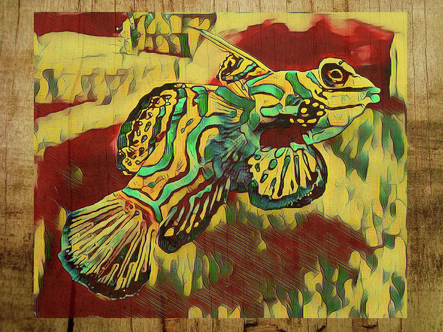 Mandarinfish Digital Art by Steven Parker
