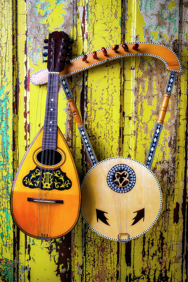 Mandolin And Egyptian Harp Photograph by Garry Gay