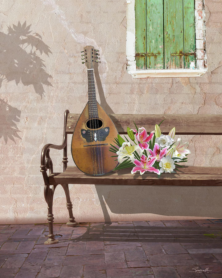 Mandolin Serenade  Digital Art by M Spadecaller