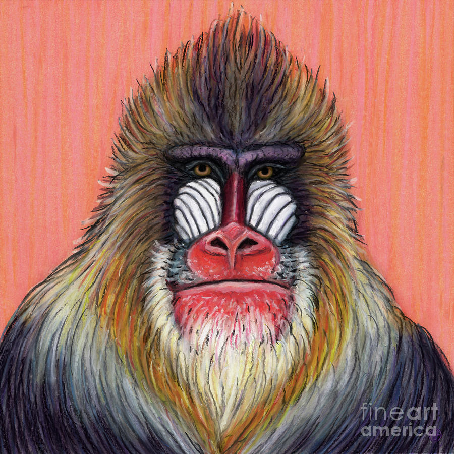 Mandrill Painting by Amy E Fraser