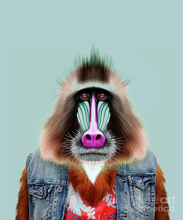 Mandrill Monkey Portrait Digital Art By Trindira A