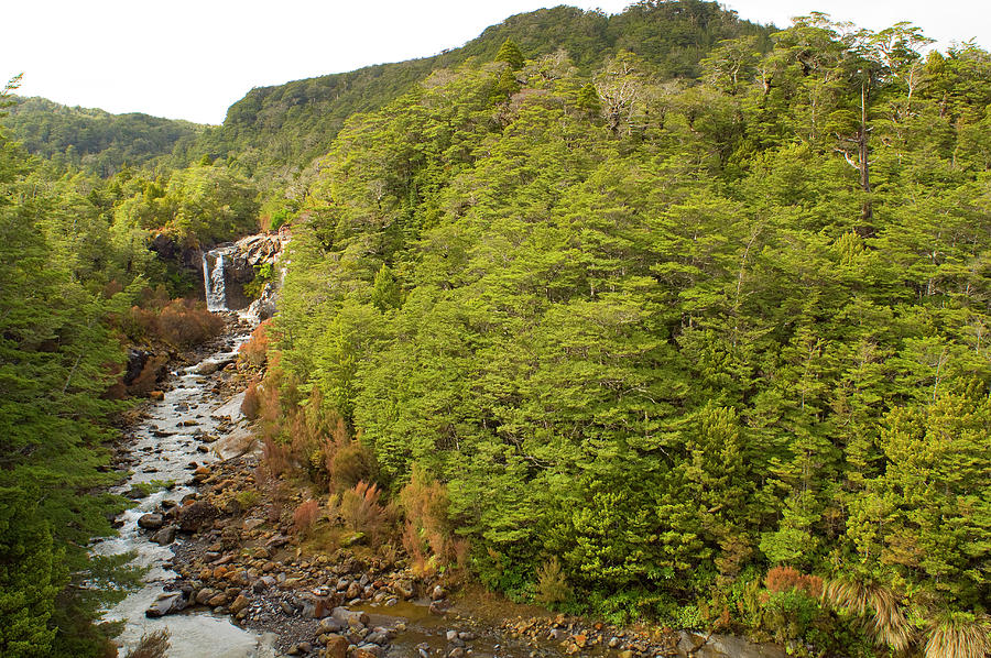 Mangawhero falls New Zealand Photograph by David L Moore