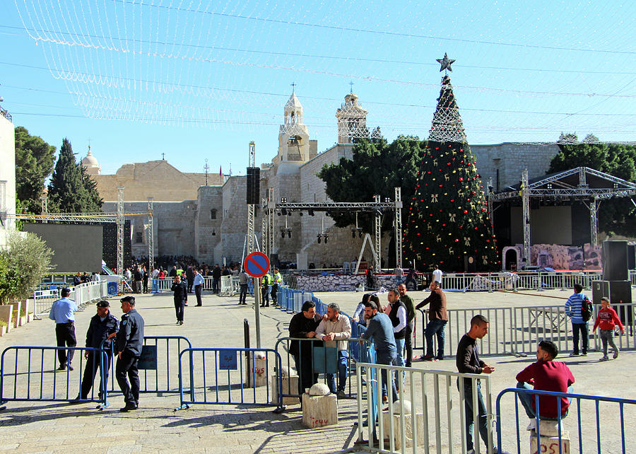 Manger Square Christmas Tree Photograph by Munir Alawi