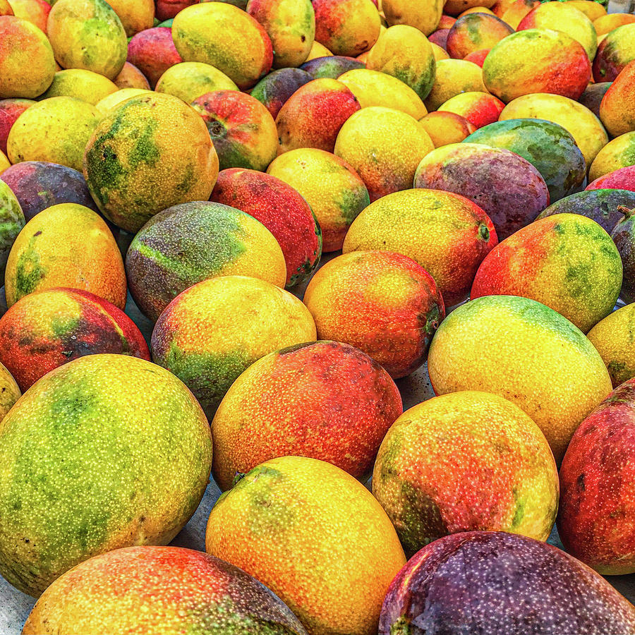 Mangoes Photograph by Jade Moon