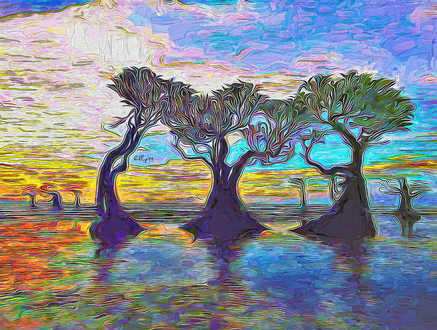 Mangrova sunset Painting by Nenad Vasic