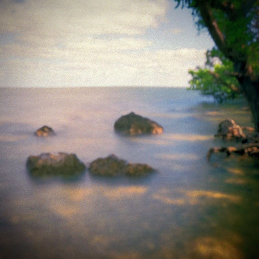 Mangroves and rocks In Biscayne Nat. Park-1 Photograph by Rudy Umans