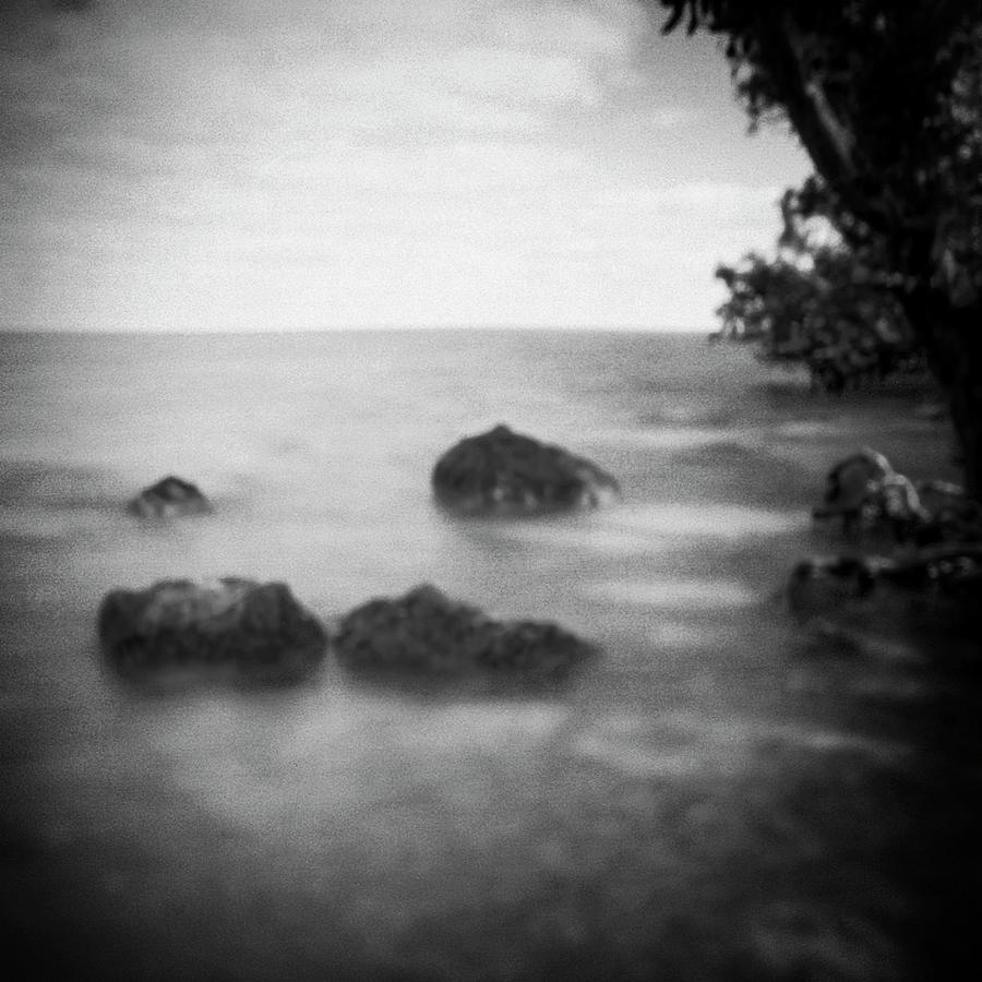 Mangroves and rocks In Biscayne NP-1BW Photograph by Rudy Umans