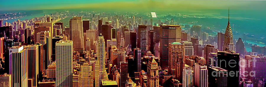 Manhattan skyline view north from Empire State Bldg New York City NY USA 3020900207 Photograph by Tom Jelen
