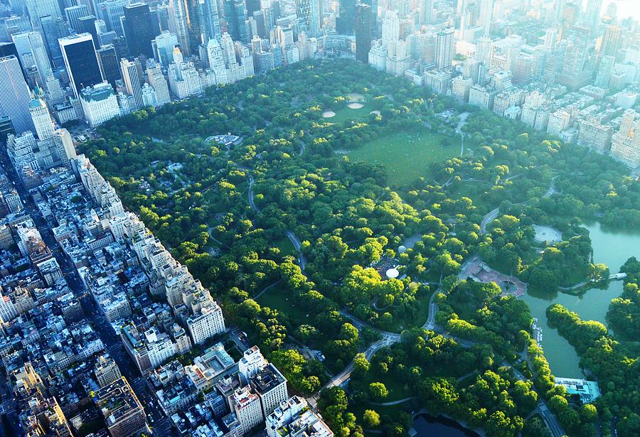 Manhattans Central Park Photograph by Jerry Trudell the Skys the Limit