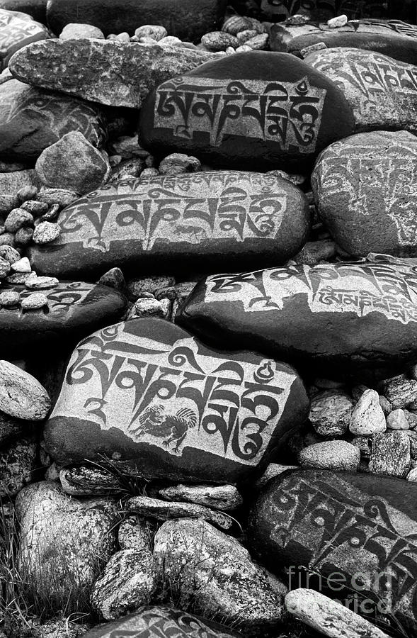 Mani Stones - Lake Maasarovar Tibet Photograph by Craig Lovell