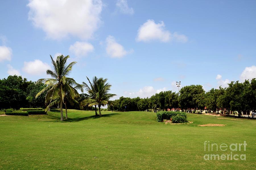 Manicured grass and palm trees at golf and country club Karachi Pakistan Photograph by Imran Ahmed