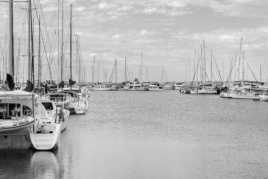 Manly Boat Harbour Photograph by Rick Nelson