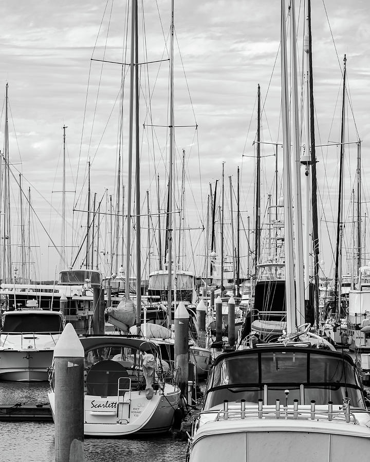 Manly Harbour Photograph by Rick Nelson