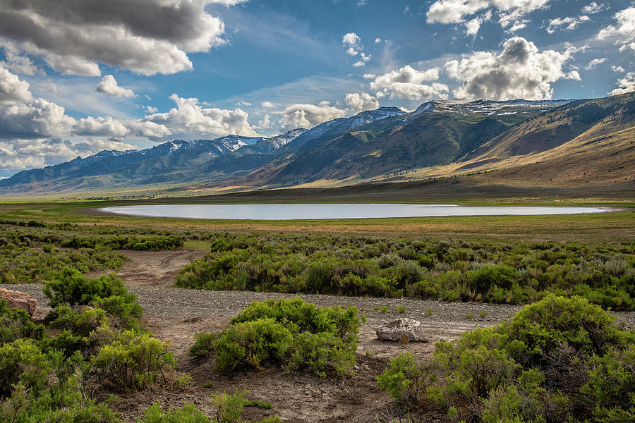 Mann Lake With Steens Mountain Photograph by Matthew Irvin