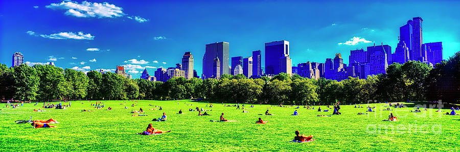 Manhattan skyline Central Park The Sheep Meadows New York City NY USA Photograph by Tom Jelen