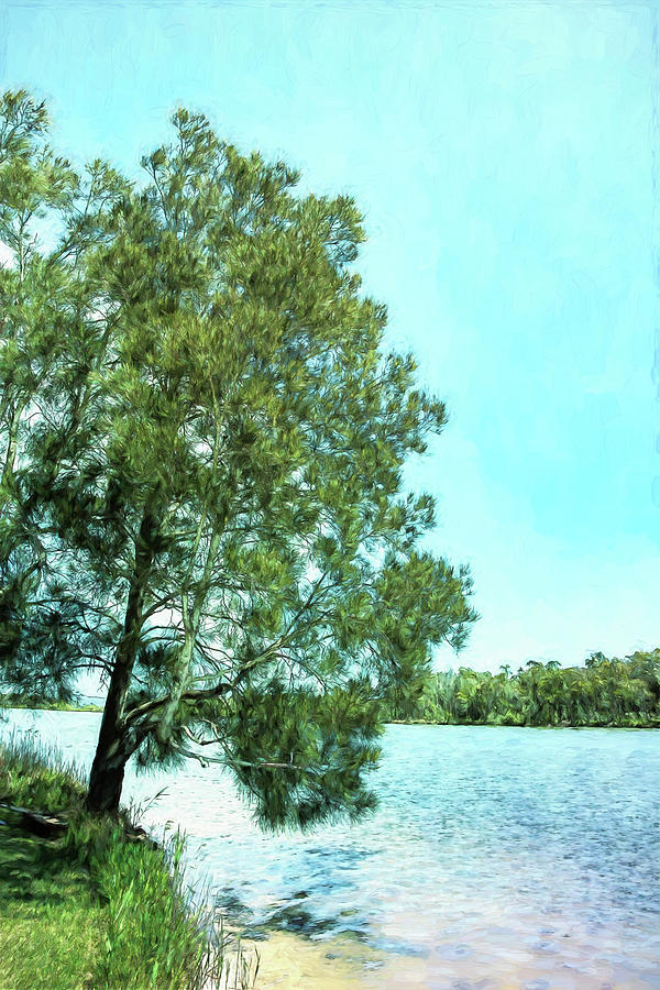 Manning River at Taree Digital Art by John Haldane