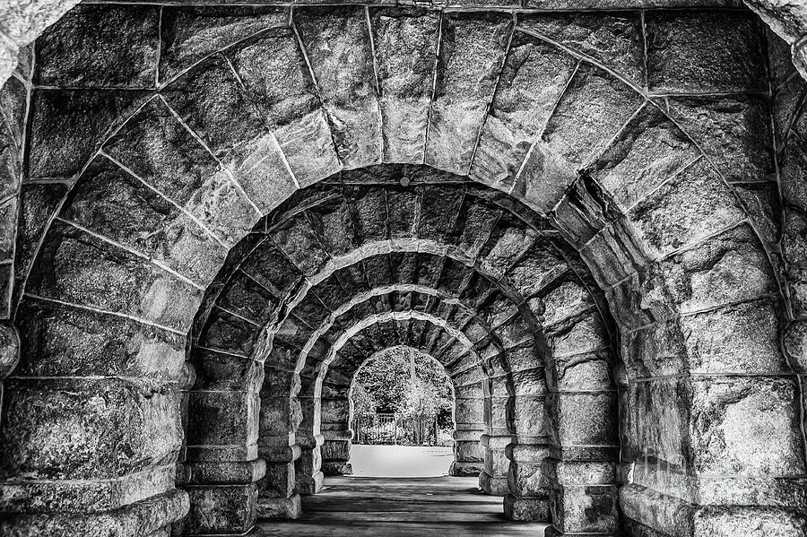 Many Arches Photograph by Charles McCleanon