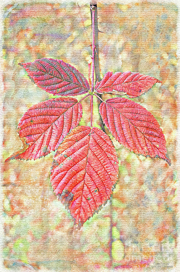 Many Autumn Leaves 19d Mixed Media by Debbie Portwood
