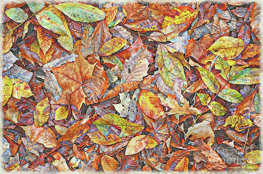 Many Autumn Leaves 3d Mixed Media by Debbie Portwood