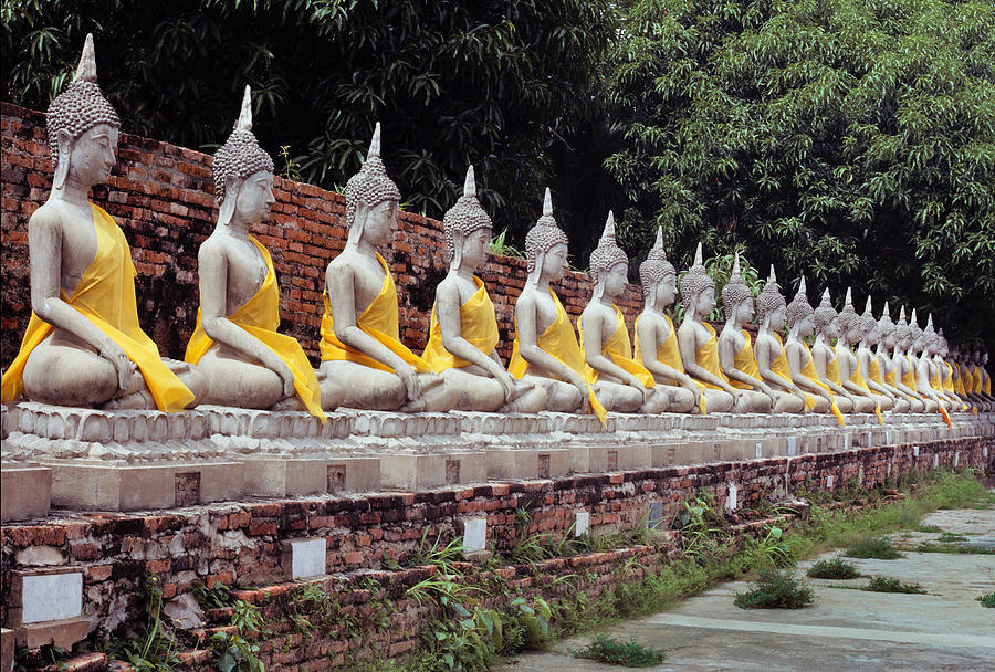 Many Buddhas Photograph By Tomas Spangler - Fine Art America