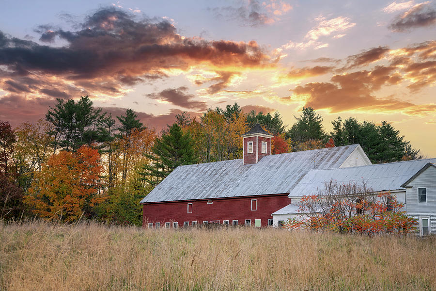 Many Colors of Fall on the Farm Photograph by Darylann Leonard Photography